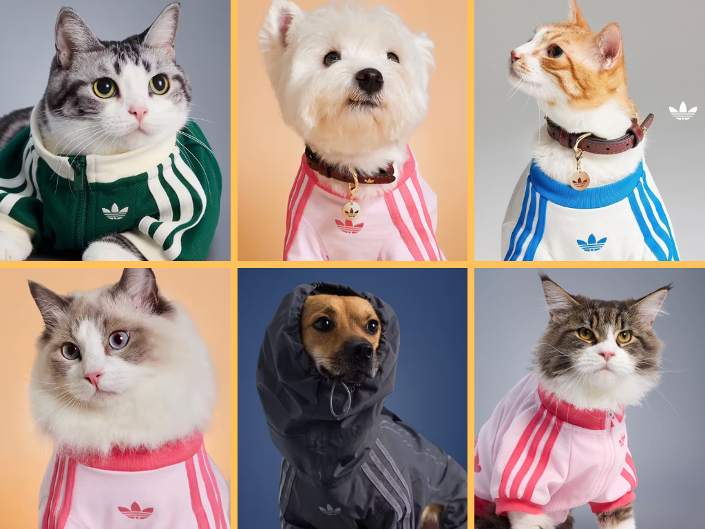 adidas Pet Collection Fall 2025 – How to Buy the Chinese Exclusive